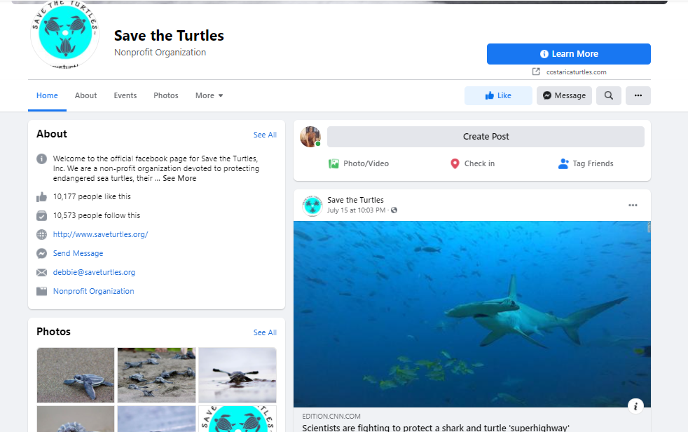 screenshot of Save the Turtle's Facebook page