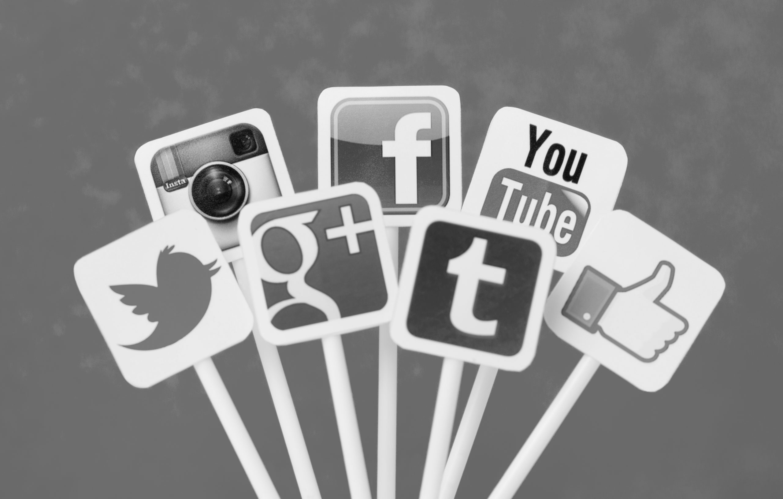 Logos for Instagram, Facebook, YouTube, Twitter, Google+, and Tumblr
