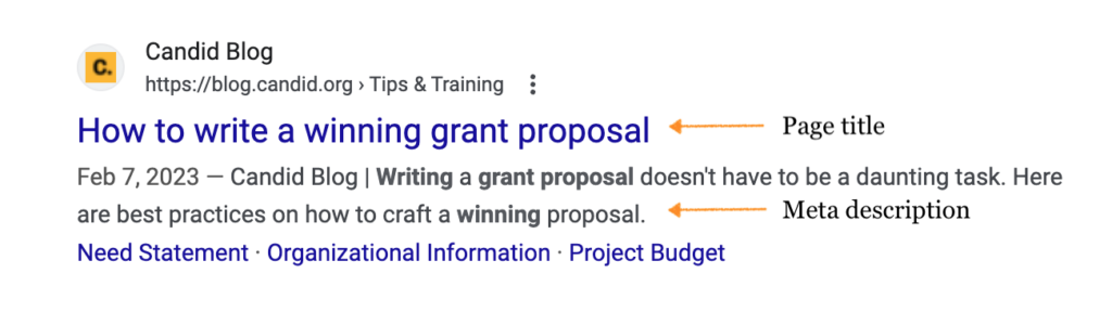 Nonprofit SEO example that shows what a page title and meta description look like in search results on Google